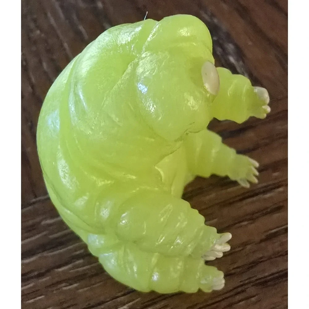 GLOW IN THE DARK FINGER TARDIGRADES WATER BEAR S 4 PACK
